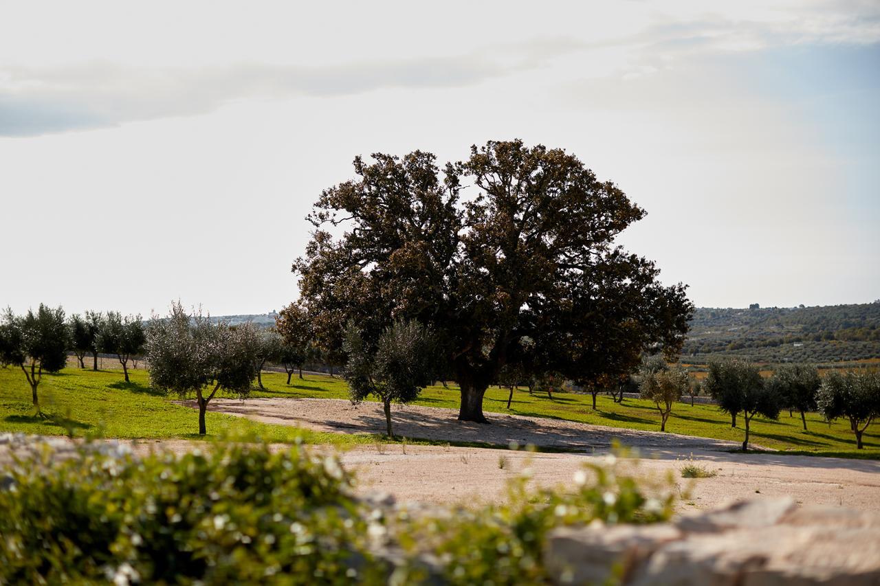 أوستوني Masseria Grieco المظهر الخارجي الصورة
